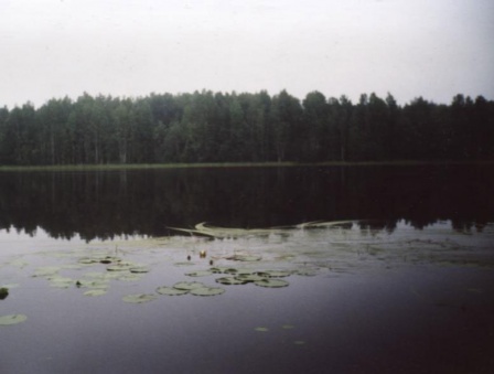 Вода  (Карельский 2001)