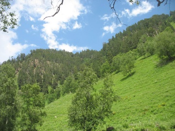 Пейзаж (Кавказ 2008)