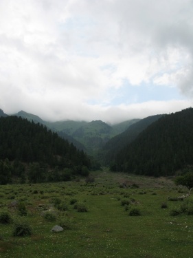 Нам туда  (Кавказ 2008)