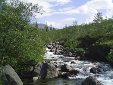 Хибинские реки  (Хибины 2005)