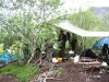 Лагерь у Красивого (Хибины 2005)