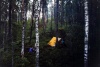 Настоящий лесной лагерь (Кузнечное 2001)